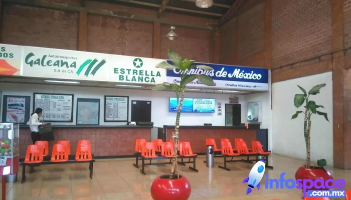 Omnibus De México - Sucursal Ciudad Hidalgo - Cdad. Hidalgo