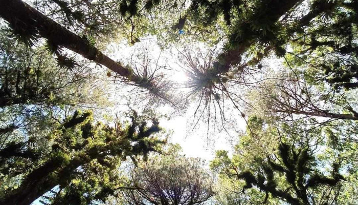 Parque Ecológico - El Porvenir