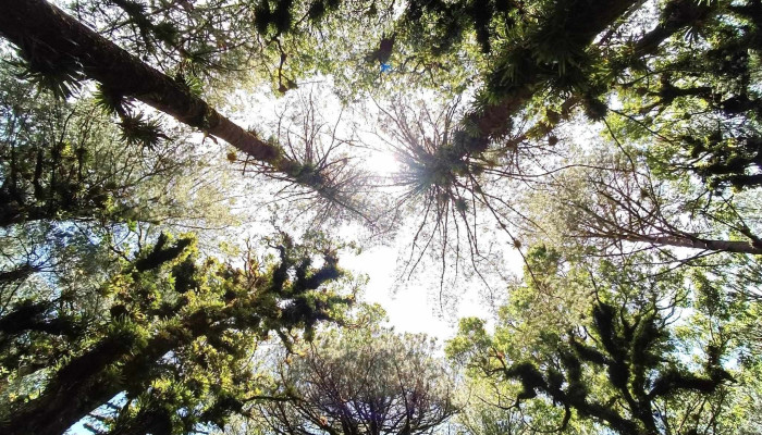 Parque Ecologico Ubicacion - El Porvenir
