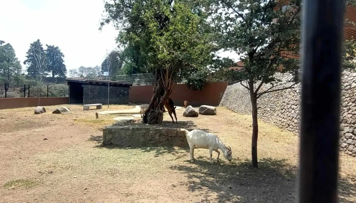 Parque Ecologico Zacango Precios - Santa María Nativitas