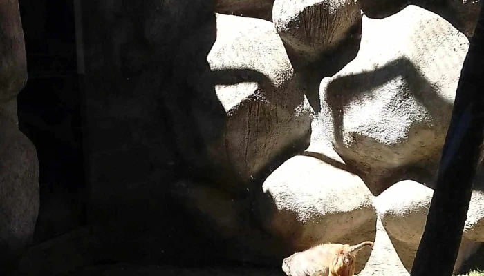 Parque Ecologico Zacango Puntaje - Santa María Nativitas