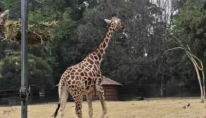 Parque Ecologico Zacango Videos - Santa María Nativitas