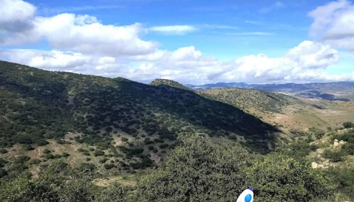 Parque Nacional Gogorrón - Moderna