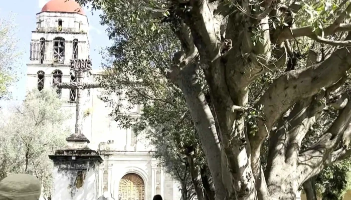 Parroquia Del Divino Salvador -  Catalogo - Malinalco