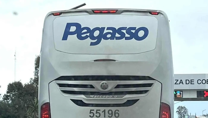 Pegasso - Terminal De Autobuses
