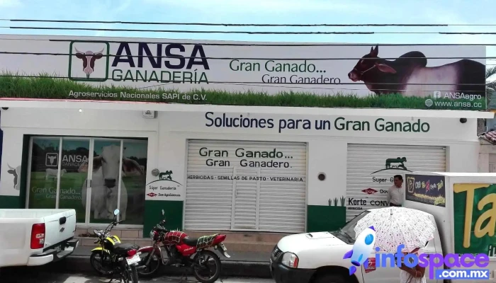 Pijijiapan - Pijijiapan