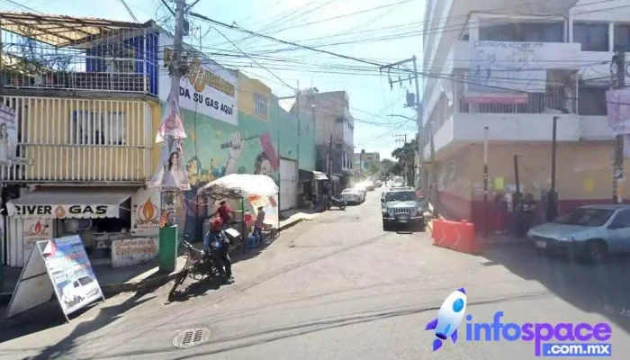 Pino Av. Carlos Hank González - Ciudad De México