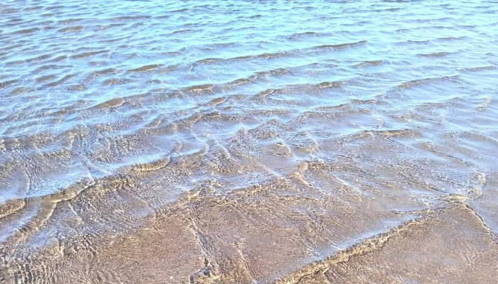 Playa Palmarcito -  Cerca De Mi - Chiapas