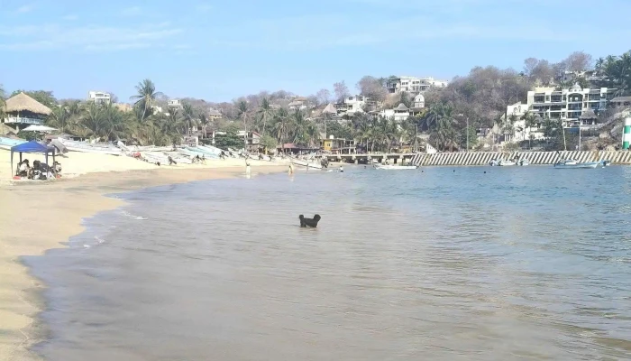 Playa Puerto Angel -  Instagram - Puerto Ángel