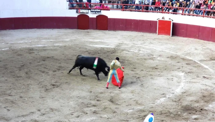 Plaza De Toros Silverio Perez Precios - Estado de México