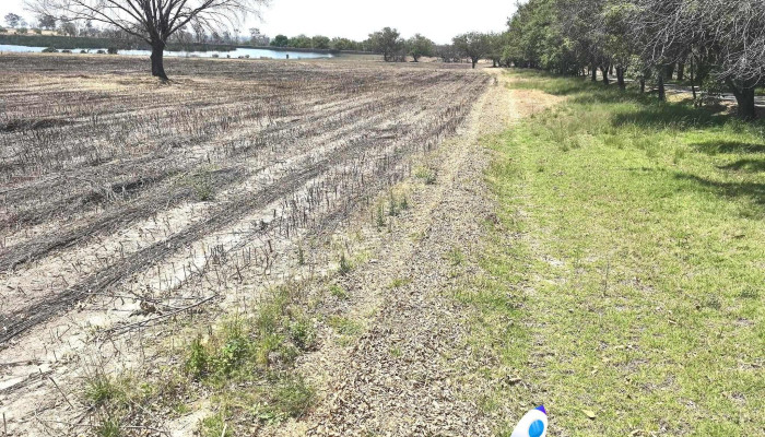 Polotitlan Edomex Mas Recientes - El Cazadero