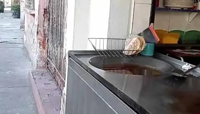 Potrero -  Videos - Ciudad de México