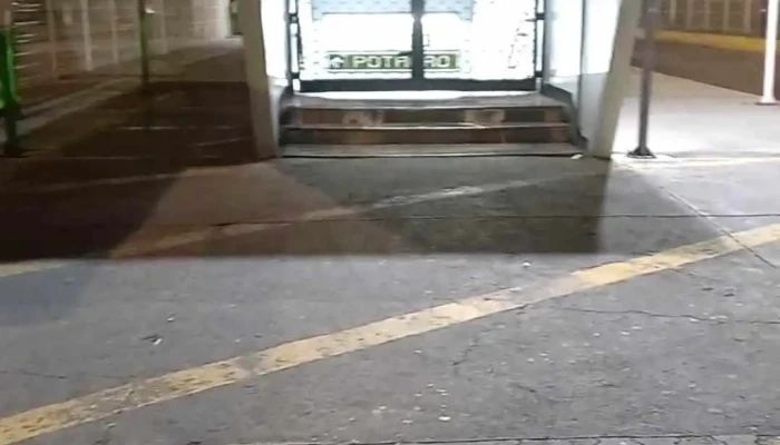 Potrero -  Videos - Ciudad de México