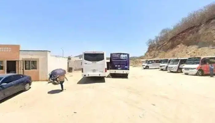 Pradera Bus Terminal -  Descuentos - Mazatlán