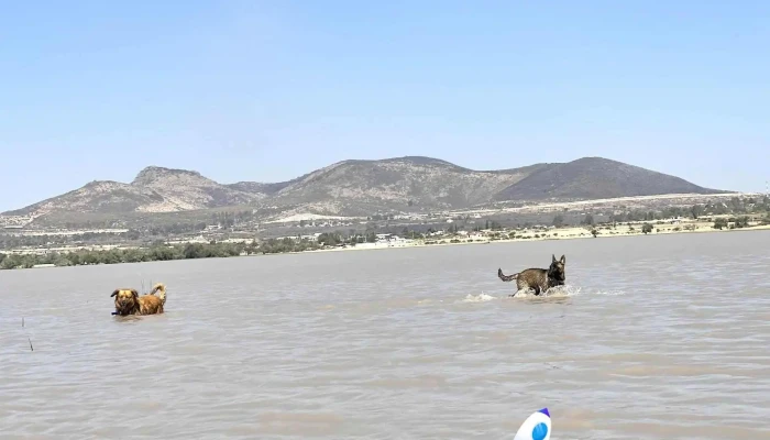 Presa Ceja de Bravo - Qro