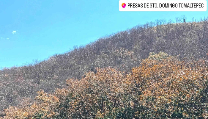 Presas De Santo Domingo Tomaltepec -  Abierto Ahora - Santo Domingo Tomaltepec