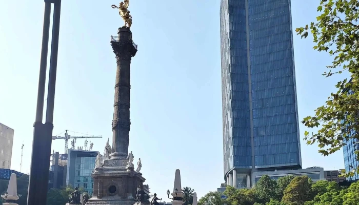 Primera Plus -  Cerca De Mi - Cuauhtémoc, Ciudad de México