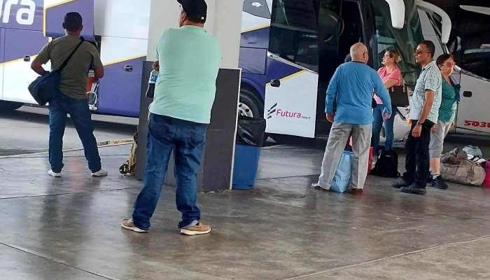 Primera Plus -  Numero - Atlacomulco de Fabela