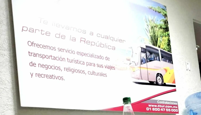 Primera Plus -  Telefono - Cuauhtémoc, Ciudad de México