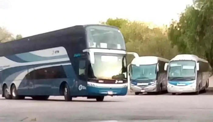 Primera Plus -  Videos - San Juan del Río