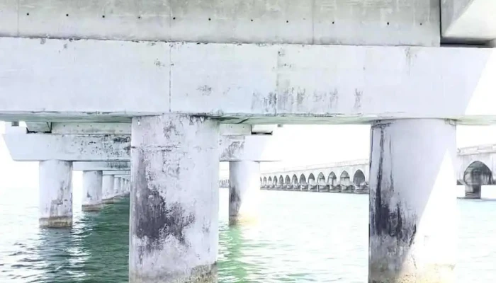 Progreso Cruise Ship Terminal -  Videos - Progreso