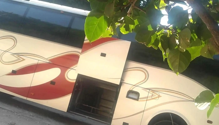 Pullman De Morelos Temixco -  Promocion - Temixco