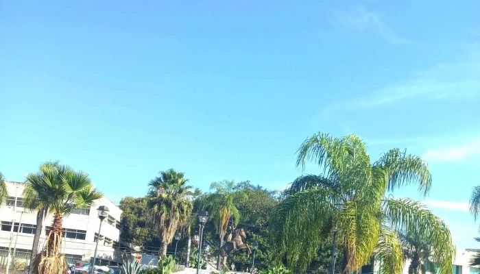 Pullman De Morelos Terminal Dragon   Imss Puntaje - Cuernavaca