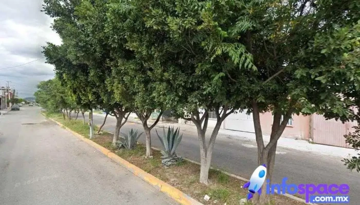 Rancho Bellavista - El Romerillal