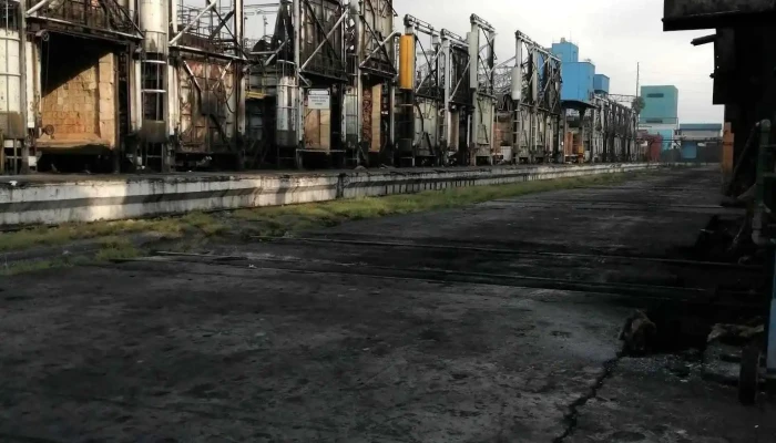Sacos Apodaca Fr Terminales - Sin Nombre De Col 30