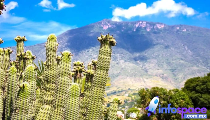 San Martin Lachila Comentarios - San Martín Lachilá