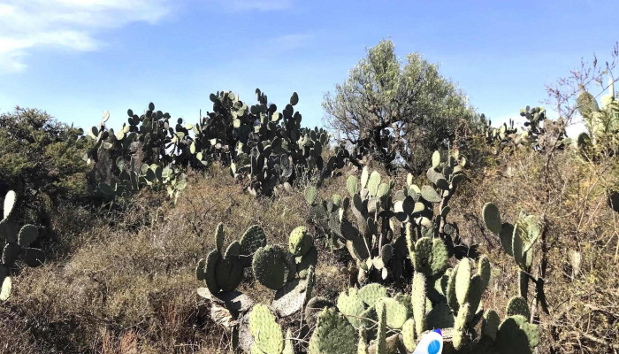 San Miguel Atlamajac -  Ubicacion - San Miguel Atlamajac