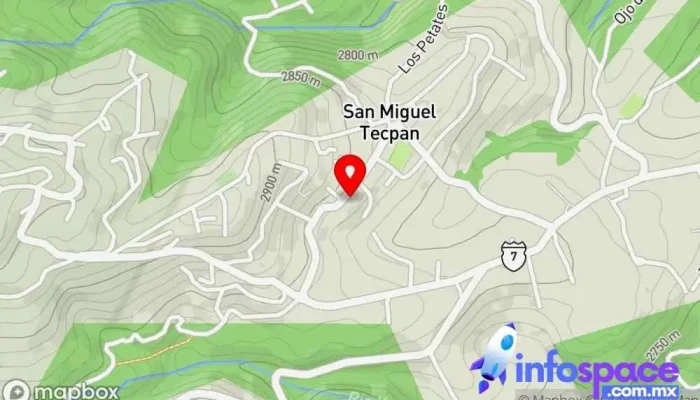 mapa de San Miguel Tecpan  en San Miguel Tecpan