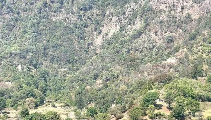 San Miguel - Texcaltitlán