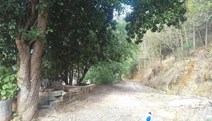 San Miguel Yuxtepec -  Precios - San Miguel Yuxtepec