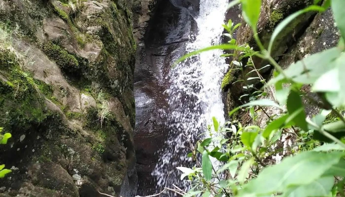San Pedro Arriba -  Zona - San Pedro Arriba