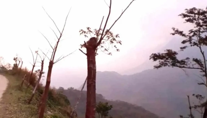 San Pedro Teutila -  Videos - San Pedro Teutila