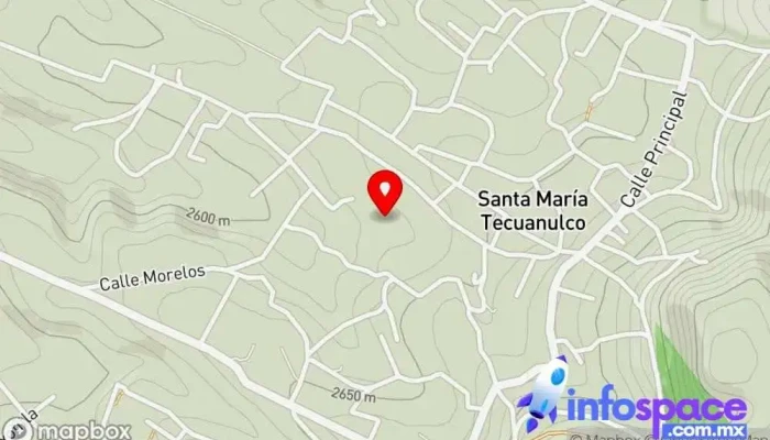 mapa de Santa María Tecuanulco  en Santa María Tecuanulco