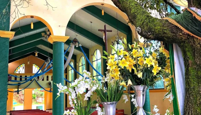 Santuario De La Cruz Verde San Andres Yaa Comentarios - Oax.