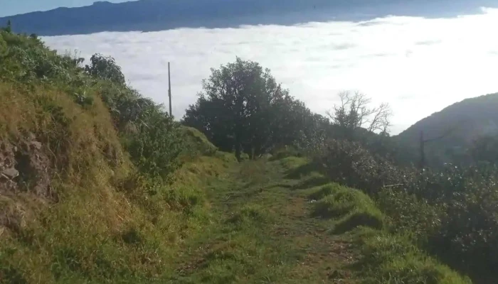 Santuario Del Senor Del Cerrito Telefono - Manzana Tercera de Santa Cruz Tepexpan