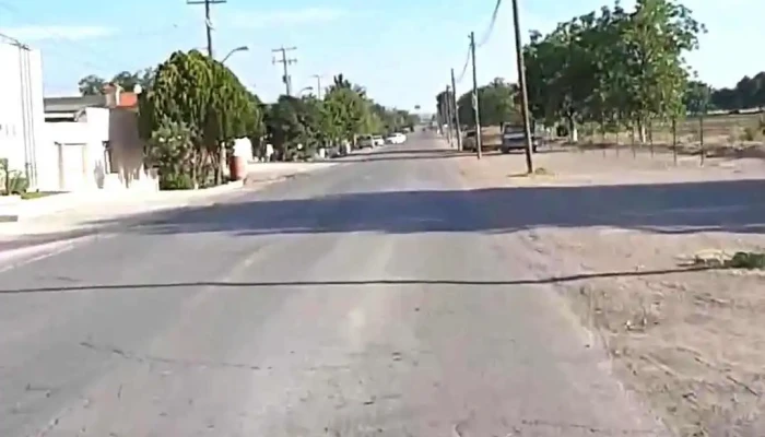 Saucillo -  Videos - Saucillo