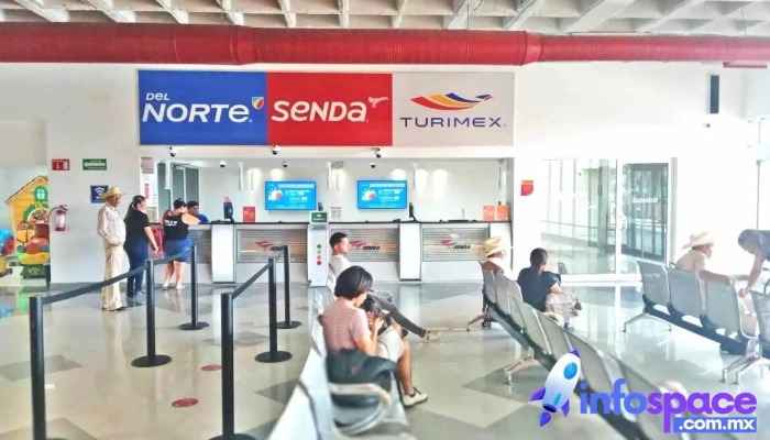 Senda - Alejandro Cano