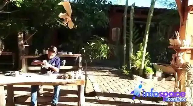 Taller De Alebrijes Zeny Fuentes Y Reyna -  Videos - Oaxaca