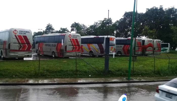 Taller De Autobuses Ado -  Camion - Tapachula de Córdova y Ordóñez