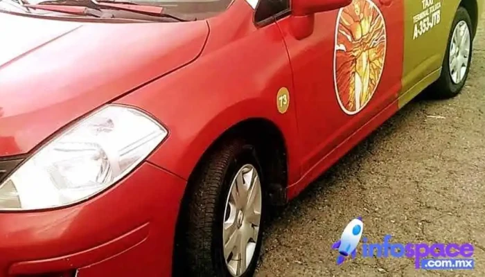 Taxis Seguros Terminal Toluca -  Ubicacion - Toluca de Lerdo