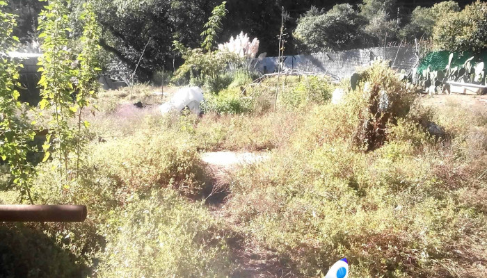 Temazcal Iquiza Tonatiuh -  Fotos - Huixquilucan de Degollado