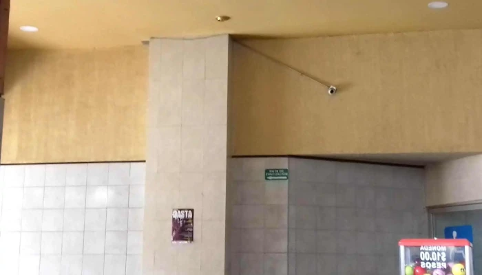 Terminal Acn Uruapan Mich Videos - Uruapan