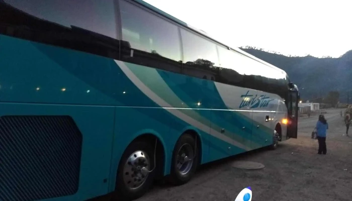 Terminal Autobuses -  Autobus - El Palmito
