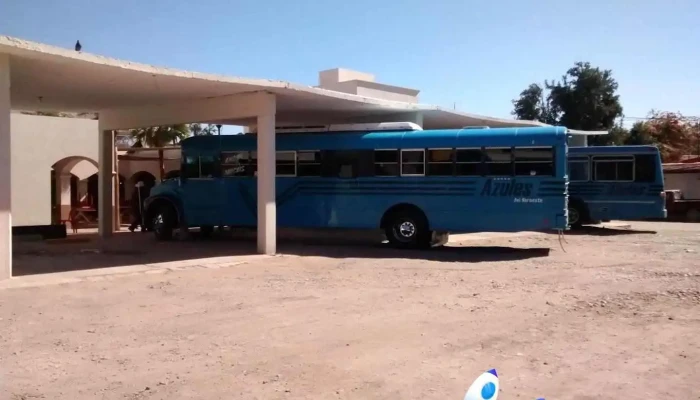 Terminal Autobuses Azules del Noroeste - Ahome