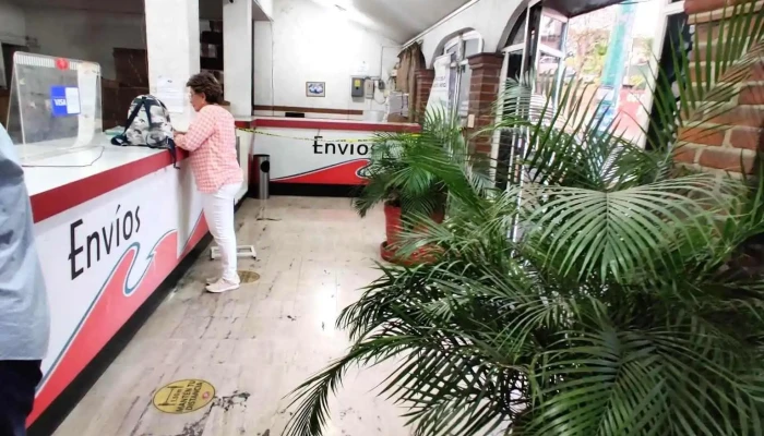 Terminal Autobuses -  Como Llegar - Cuernavaca