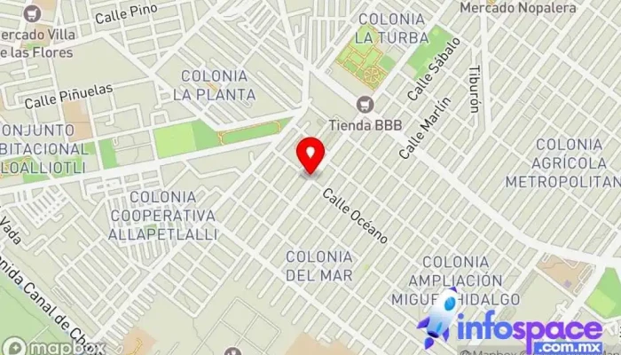mapa de Terminal Autobuses Ruta 110 Metro Pantitlan-Col. del Mar Servicio de transporte en Tláhuac, Ciudad de México
